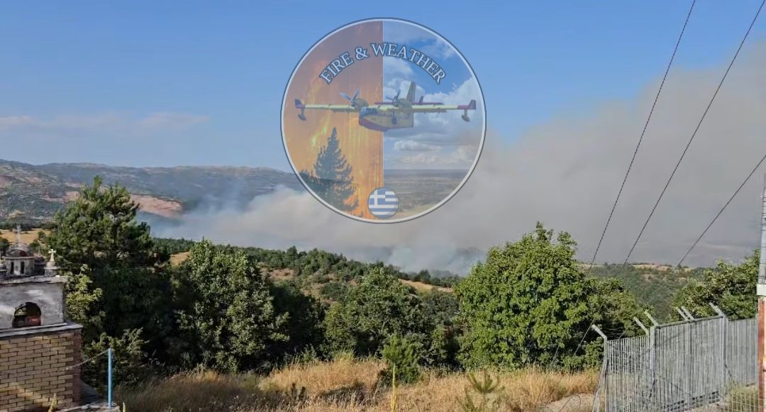Πυρκαγιά σε δασική έκταση στην θέση Ρίζωμα στο Νεστόριο Καστοριάς