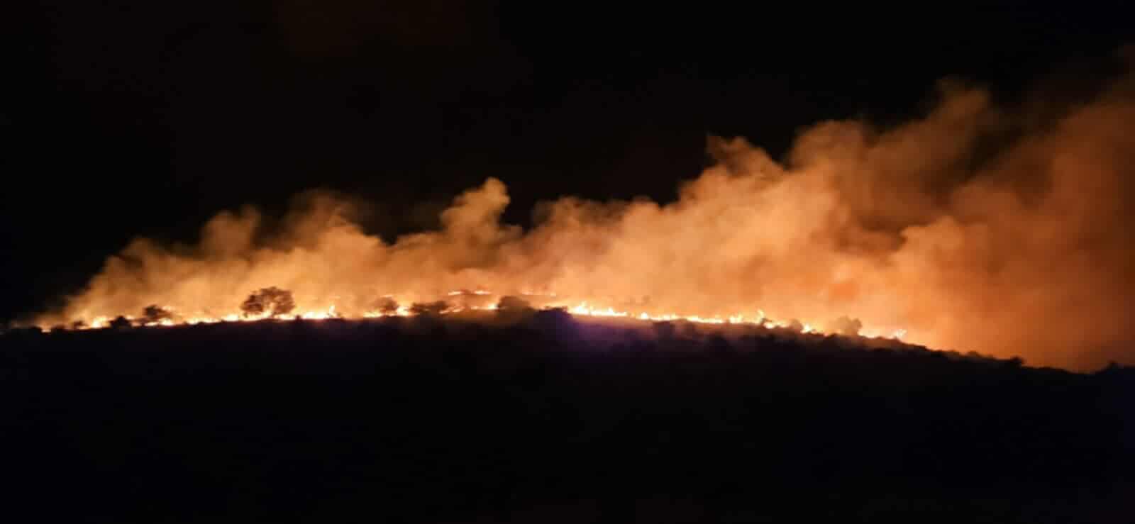 Πυρκαγιά σε αγροτοδασική έκταση στην περιοχή Μεταμόρφωση Μεσσηνίας