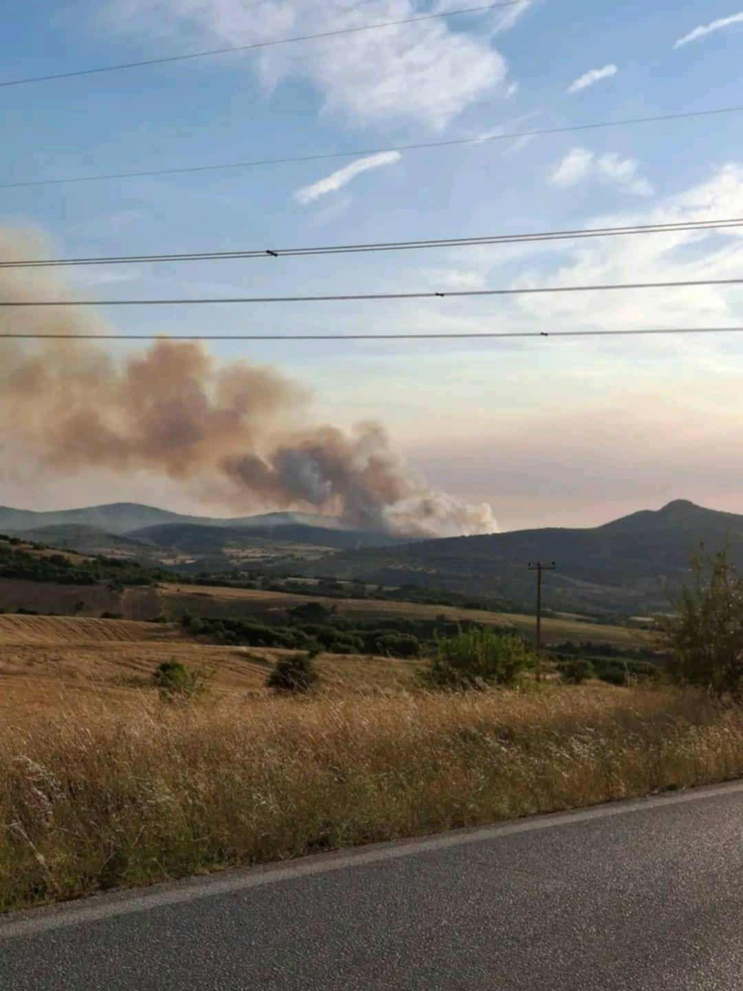 Πυρκαγιά σε δασική έκταση στο Μεσαίο Ωραιοκάστρου Θεσσαλονίκης