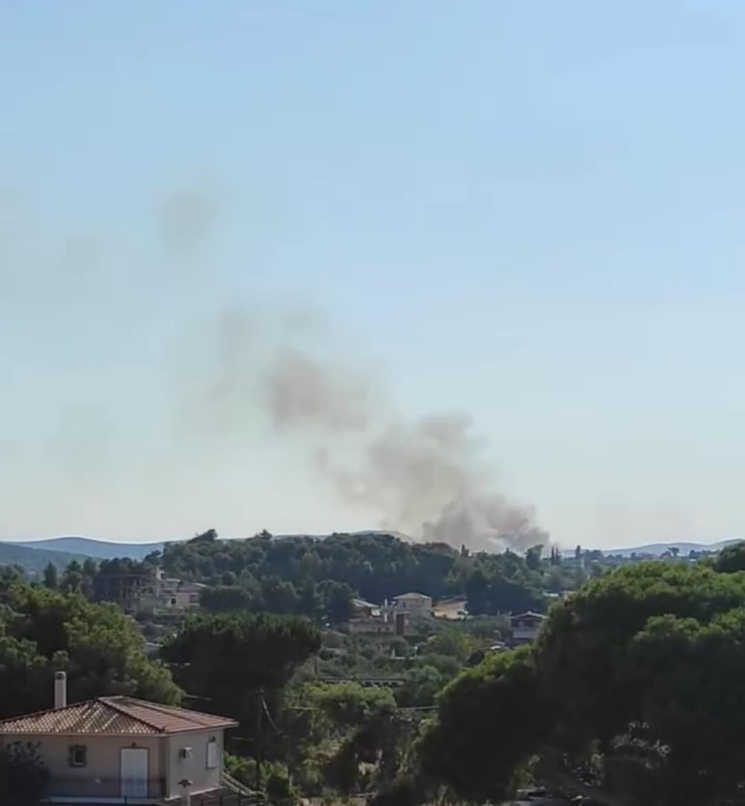 Πυρκαγιά σε χαμηλή βλάστηση πλησίον παλαιών διοδίων Σχηματαρίου Βοιωτίας