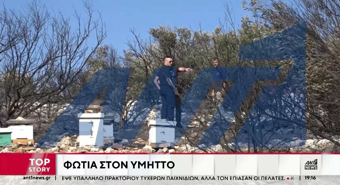 Σε πλήρη εξέλιξη η έρευνα για τα αίτια της πυρκαγιάς στον Υμηττό