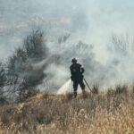 Πυρκαγιά σε χαμηλή βλάστηση στην περιοχή Παλιάμπελα Θεσσαλονίκης