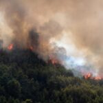 Πυρκαγιά σε δασική έκταση στην περιοχή Άγιος Γεώργιος Αρχαίας Ολυμπίας