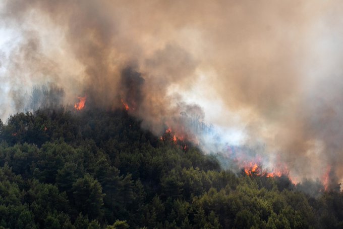 Πυρκαγιά σε δασική έκταση στην περιοχή Άγιος Γεώργιος Αρχαίας Ολυμπίας