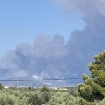 Πυρκαγιά Ευβοία: Ενισχύονται συνεχώς οι δυνάμεις στην Τριάδα Ευβοίας