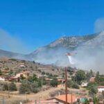Βοιωτία: Σύλληψη για εμπρησμό από αμέλεια κατά το κάπνισμα μελισσών στην Αλυκή