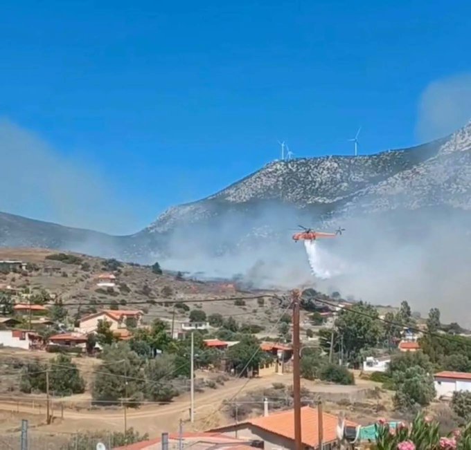 Σύλληψη για εμπρησμό από αμέλεια στη Βοιωτία – Πρόστιμο σχεδόν 9.000 ευρώ