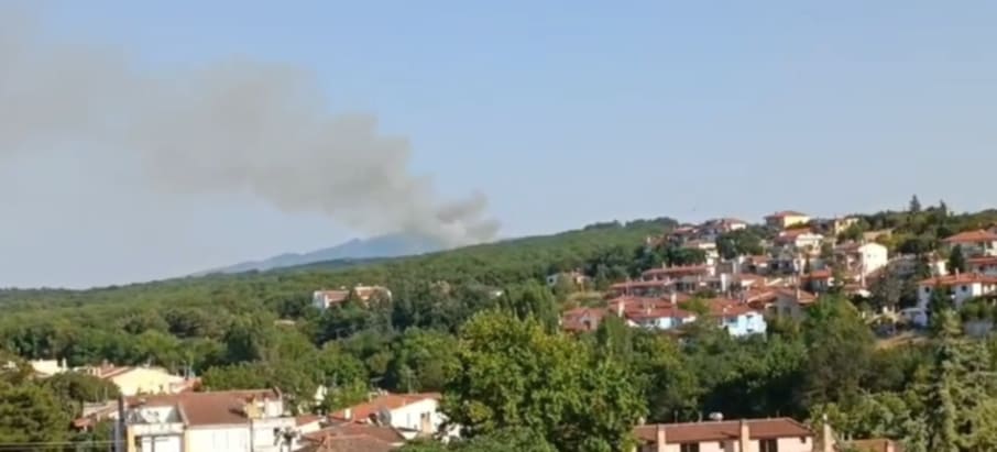 Πυρκαγιά σε χαμηλή βλάστηση στην περιοχή Προφήτη Ηλία στη Θεσσαλονίκη