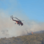 Πυρκαγιά σε δασική έκταση στην περιοχή Χλόη Ροδόπης