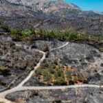 Δεύτερη σύλληψη για τις φωτιές στη Χίο – Δικογραφία για εμπρησμό από πρόθεση και κατ’ εξακολούθηση