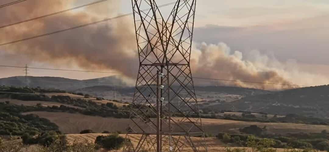 Πυρκαγιά σε δασική έκταση στο Μεσαίο Ωραιοκάστρου Θεσσαλονίκης