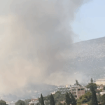 Πυρκαγιά σε χαμηλή βλάστηση στην περιοχή Αλυκή Βοιωτίας
