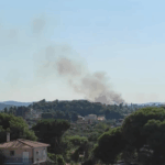 Πυρκαγιά σε χαμηλή βλάστηση πλησίον παλαιών διοδίων Σχηματαρίου Βοιωτίας