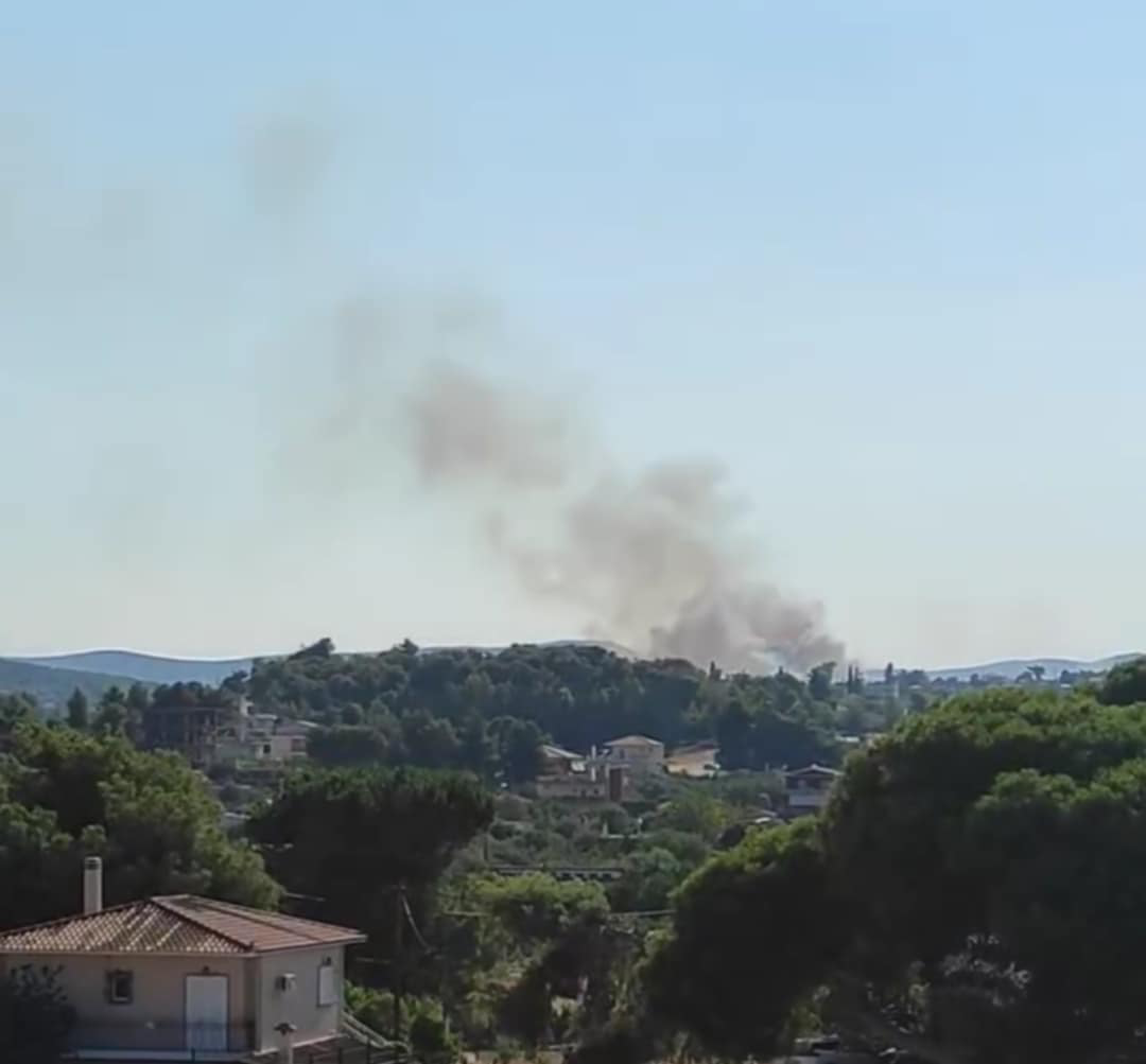 Πυρκαγιά σε χαμηλή βλάστηση πλησίον παλαιών διοδίων Σχηματαρίου Βοιωτίας