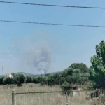 Πυρκαγιά σε δασική έκταση στο Γεράκι Ηλείας
