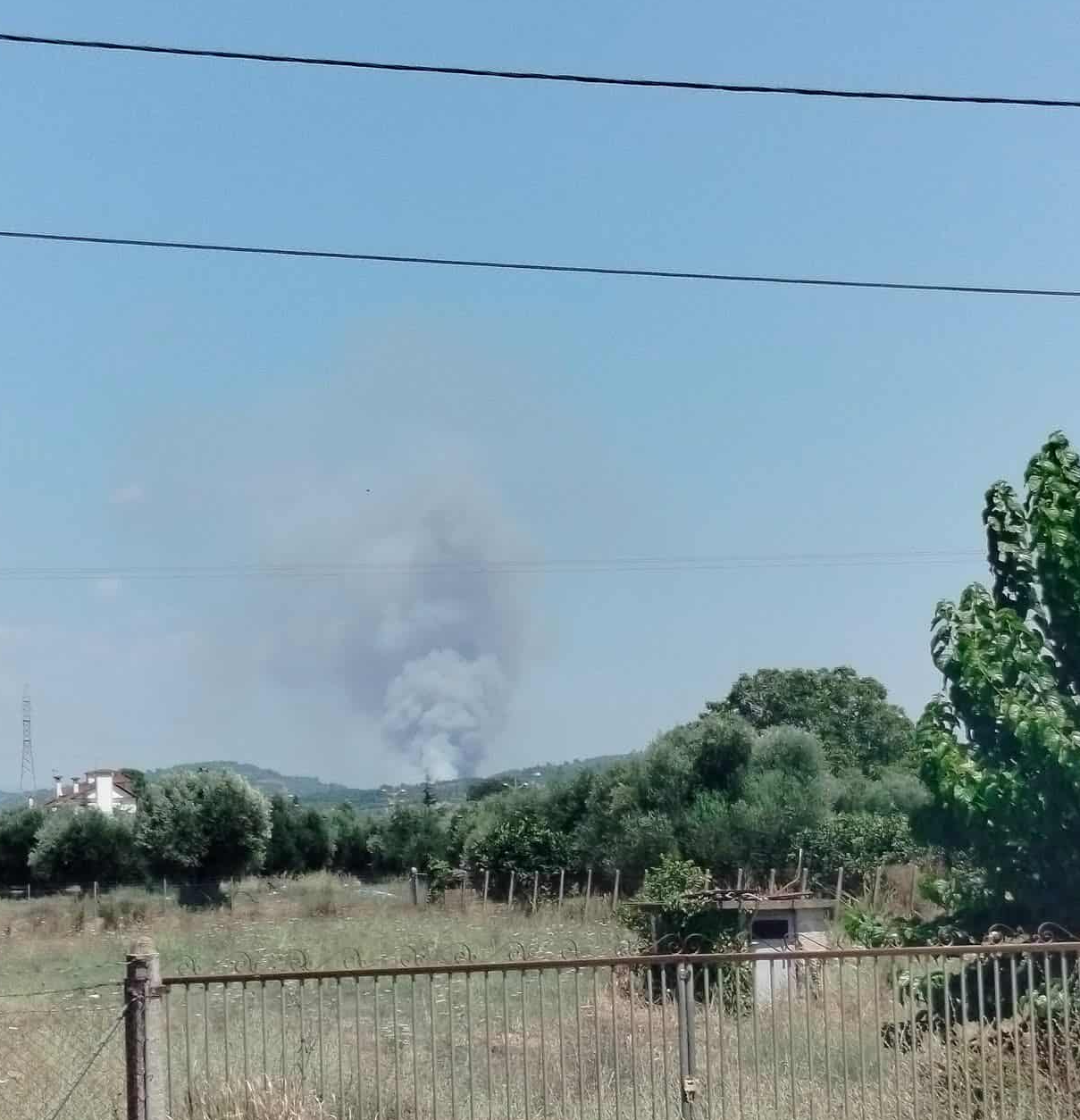 Πυρκαγιά σε δασική έκταση στο Γεράκι Ηλείας