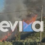 Πυρκαγιά σε αγροτοδασική έκταση στην περιοχή Μεσοχώρια Ευβοίας