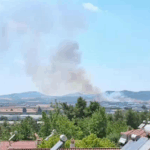 Πυρκαγιά σε χαμηλή βλάστηση στα Οινόφυτα Βοιωτίας