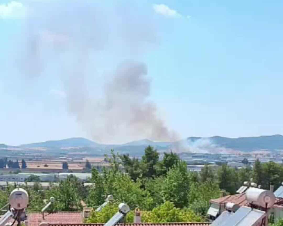 Πυρκαγιά σε χαμηλή βλάστηση στα Οινόφυτα Βοιωτίας