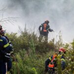 Συλλήψεις και επιβολή προστίμων σε Μεσσηνία, Θεσσαλονίκη, Αττική, Ξάνθη, Φθιώτιδα, Πέλλα και Χαλκιδική