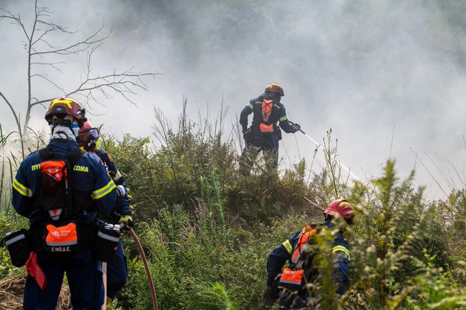 Συλλήψεις και επιβολή προστίμων σε Μεσσηνία, Θεσσαλονίκη, Αττική, Ξάνθη, Φθιώτιδα, Πέλλα και Χαλκιδική