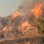Πυροσβεστική: 50 αγροτοδασικές πυρκαγιές το τελευταίο 24ωρο