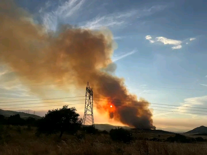 Πυρκαγιά σε δασική έκταση στο Μεσαίο Ωραιοκάστρου Θεσσαλονίκης