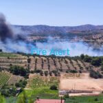 Πυρκαγιά σε χαμηλή βλάστηση επί της οδού Αρίωνος κοντά στη Λεωφόρο Μαραθώνος