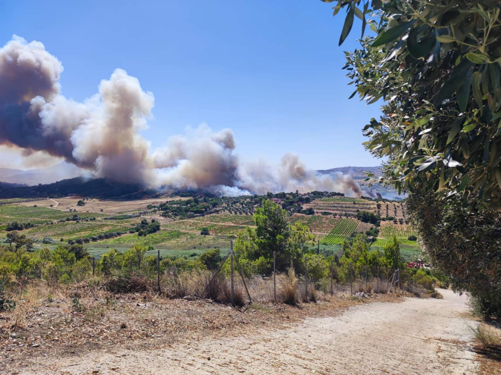 Πυρκαγιά σε χαμηλή βλάστηση στη Λεωφόρο Μαραθώνος και Αρίωνος στη Ραφήνα