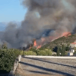 Πυρκαγιά σε αγροτοδασική έκταση στην περιοχή Μεσοχώρια Ευβοίας