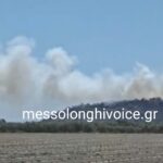 Πυρκαγιά σε δασική έκταση στις Οινιάδες Αιτωλοακαρνανίας