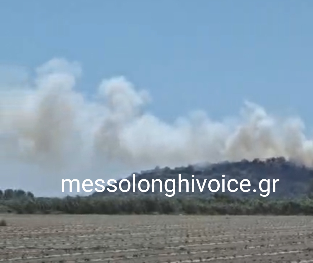 Πυρκαγιά σε δασική έκταση στις Οινιάδες Αιτωλοακαρνανίας