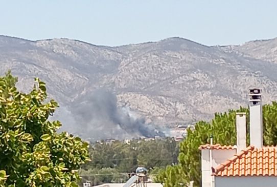 Πυρκαγιά σε χαμηλή βλάστηση στη συμβολή των οδών Μόλας και Κλεοπάτρας στις Αχαρνές