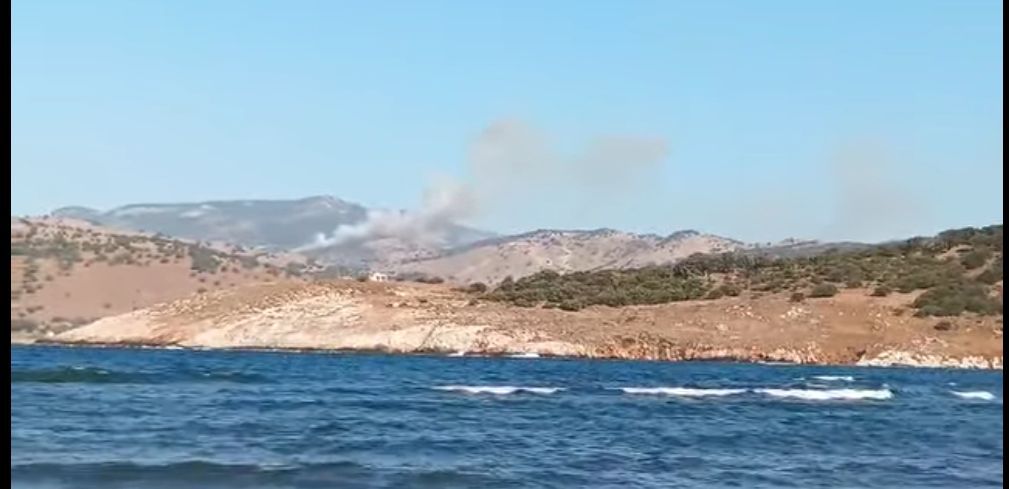 Πυρκαγιά σε δασική έκταση στο Σκαλοχώρι Λέσβου