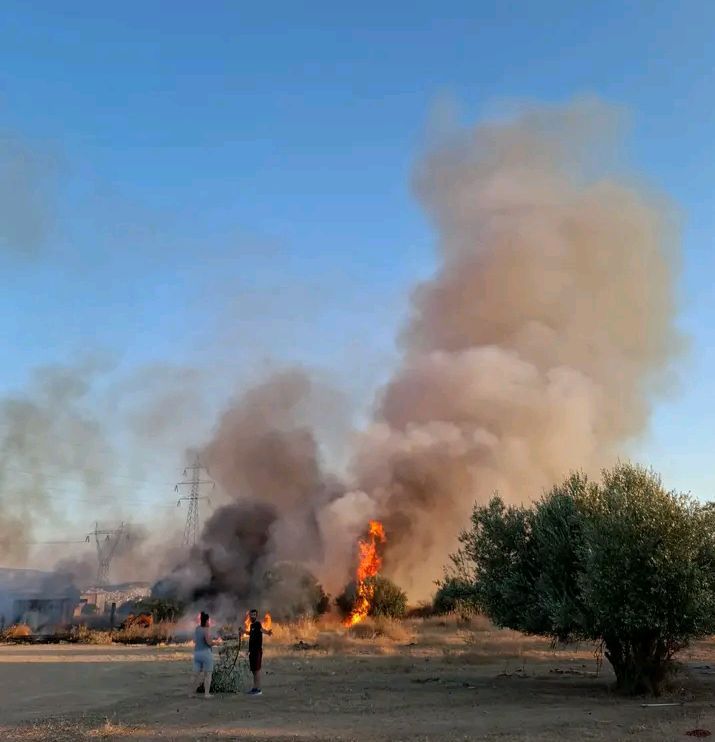 Πυρκαγιά σε οικοπεδικούς χώρους στο Μενίδι