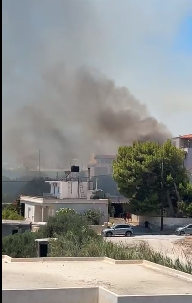 Πυρκαγιά σε χαμηλή βλάστηση στην περιοχή Μιχαήλ Αρχαγγέλου Ιεράπετρας Κρήτης