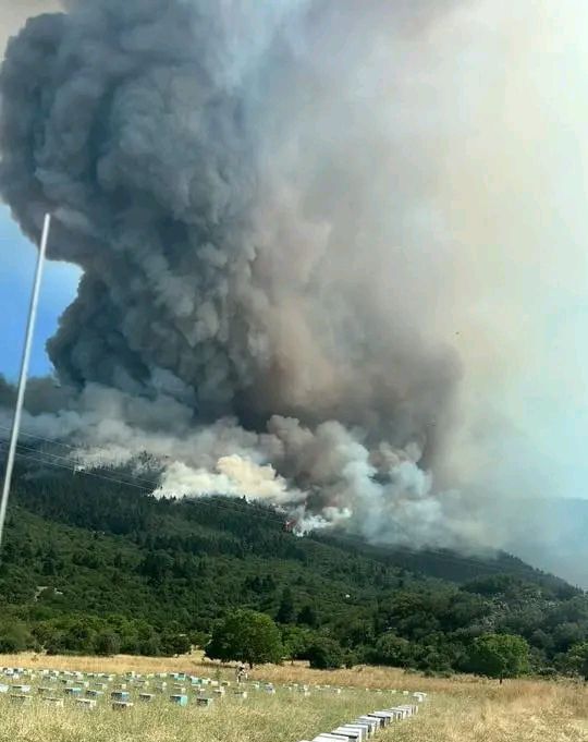 Μεγάλη αναζωπύρωση της πυρκαγιάς στον Φενεό Κορινθίας – Ενισχύονται οι δυνάμεις