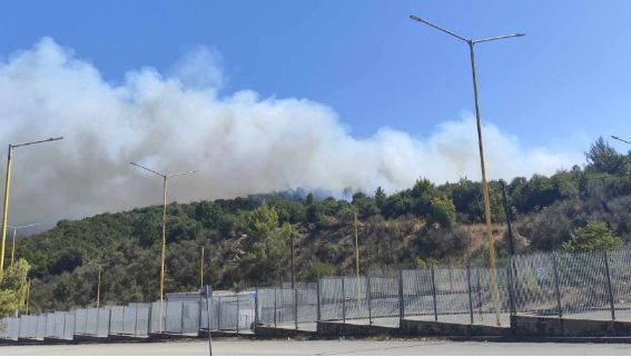 Πυρκαγιά σε δασική έκταση στην περιοχή Νεοχώρι Ιωαννίνων