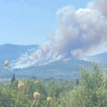 Πυρκαγιά σε δασική έκταση στην περιοχή Πολυθέα Μεσσηνίας