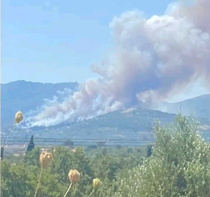 Πυρκαγιά σε δασική έκταση στην περιοχή Πολυθέα Μεσσηνίας