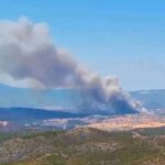 Πυρκαγιά σε δασική έκταση στην περιοχή Τριάδα Εύβοιας