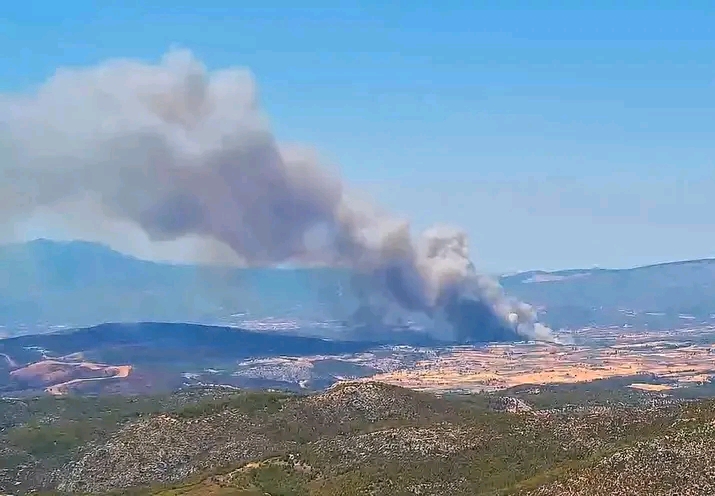 Πυρκαγιά σε δασική έκταση στην περιοχή Τριάδα Εύβοιας