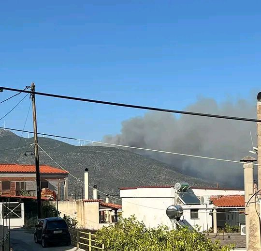 Πυρκαγιά σε δασική έκταση στην περιοχή Κουλοχέρα Λακωνίας