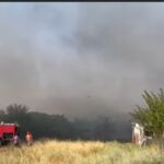 Πυρκαγιά σε χαμηλή βλάστηση στην περιοχή Άγιος Ραφαήλ στις Σέρρες
