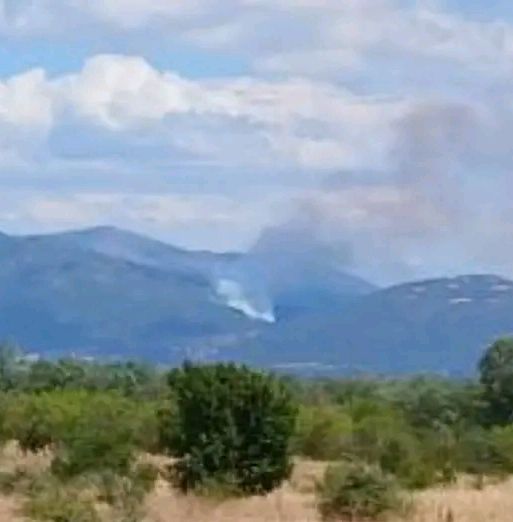 Πυρκαγιά σε δασική έκταση στην περιοχή Δεσκάτη Γρεβενών