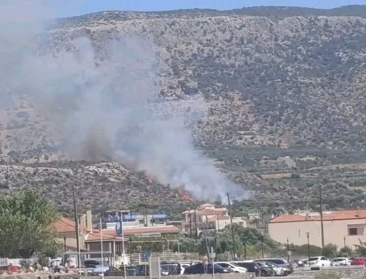 Πυρκαγιά σε χαμηλή βλάστηση στην περιοχή Πλύτρα Λακωνίας