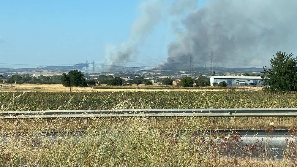 Πυρκαγιά σε χαμηλή βλάστηση στη περιοχή Άσσηρος Θεσσαλονίκης.