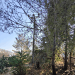 Πυρκαγιά στον Βύρωνα από βραχυκύκλωμα λόγω πτηνού – Άμεση επέμβαση απέτρεψε την εξάπλωση