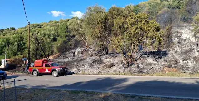 Πυρκαγιά σε δασική έκταση στην περιοχή Ράγιο Θεσπρωτίας