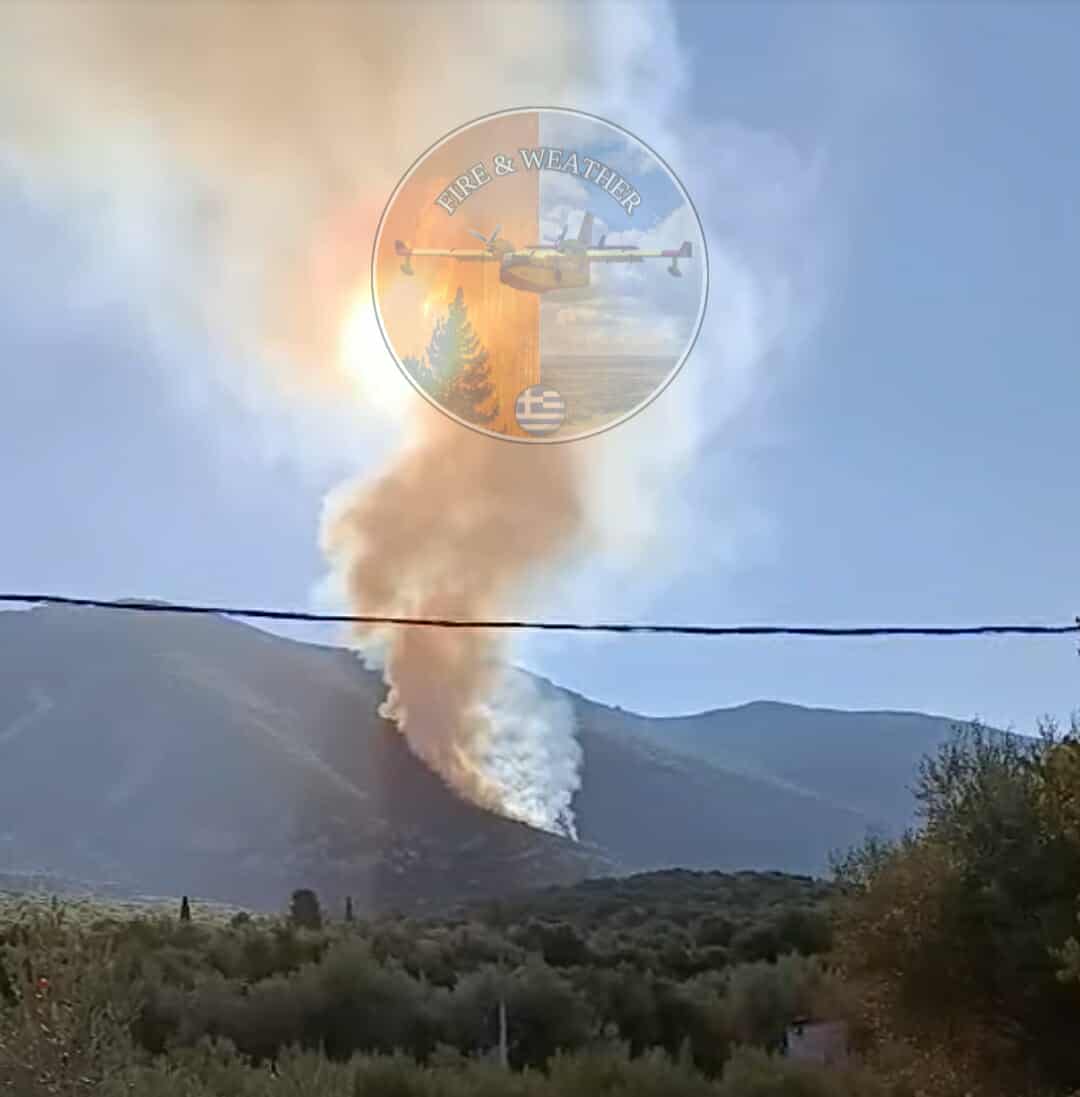 Πυρκαγιά σε δασική έκταση στην περιοχή Γαρδίκι Θεσπρωτίας